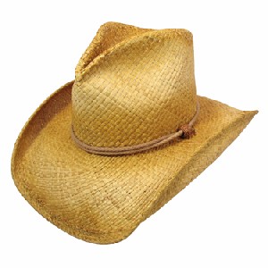 Shady Brady Cowboy Hat
