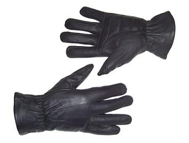 Basic Riding Gloves