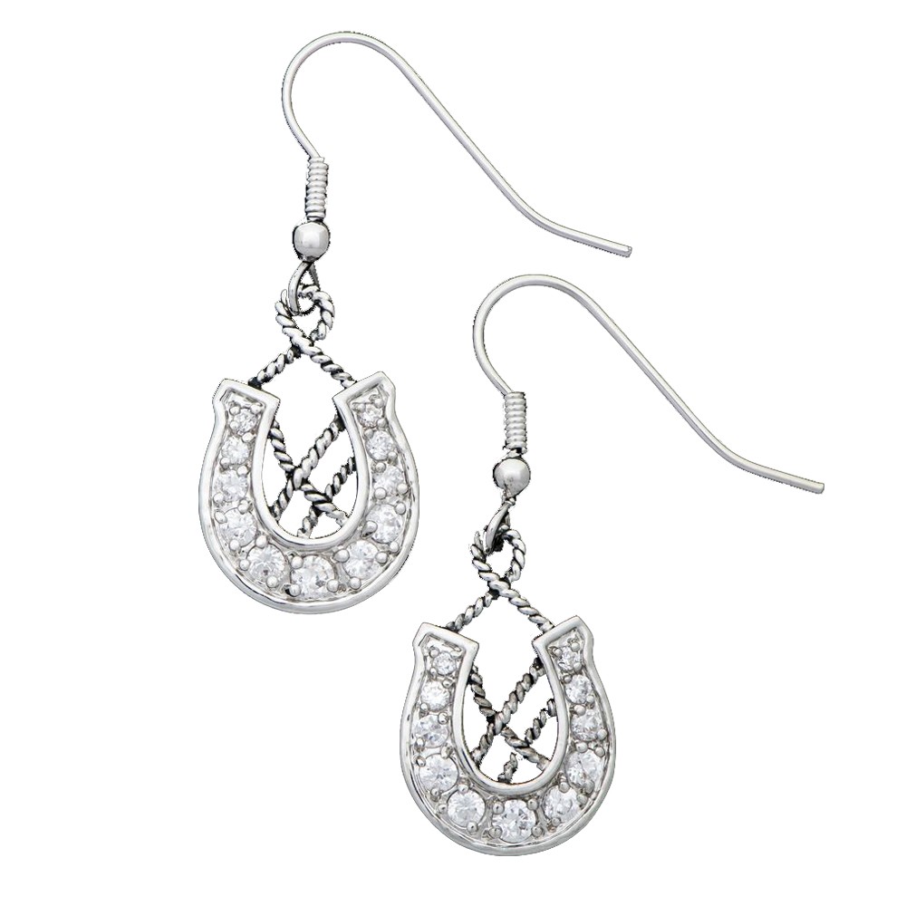 Vintage Charm Making Your Own Way Earrings (ER1328CZ)