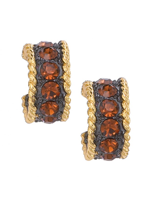 Topaz Crystal Shine Small Hoop Earrings (ER61133TZ)