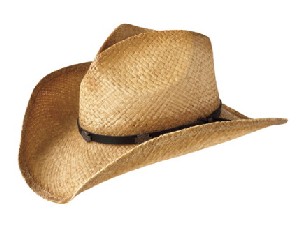 Harley Davidson Crushable Straw Hat
