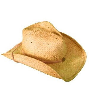 Shady Brady Hat