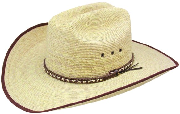 tim mcgraw resistol hat