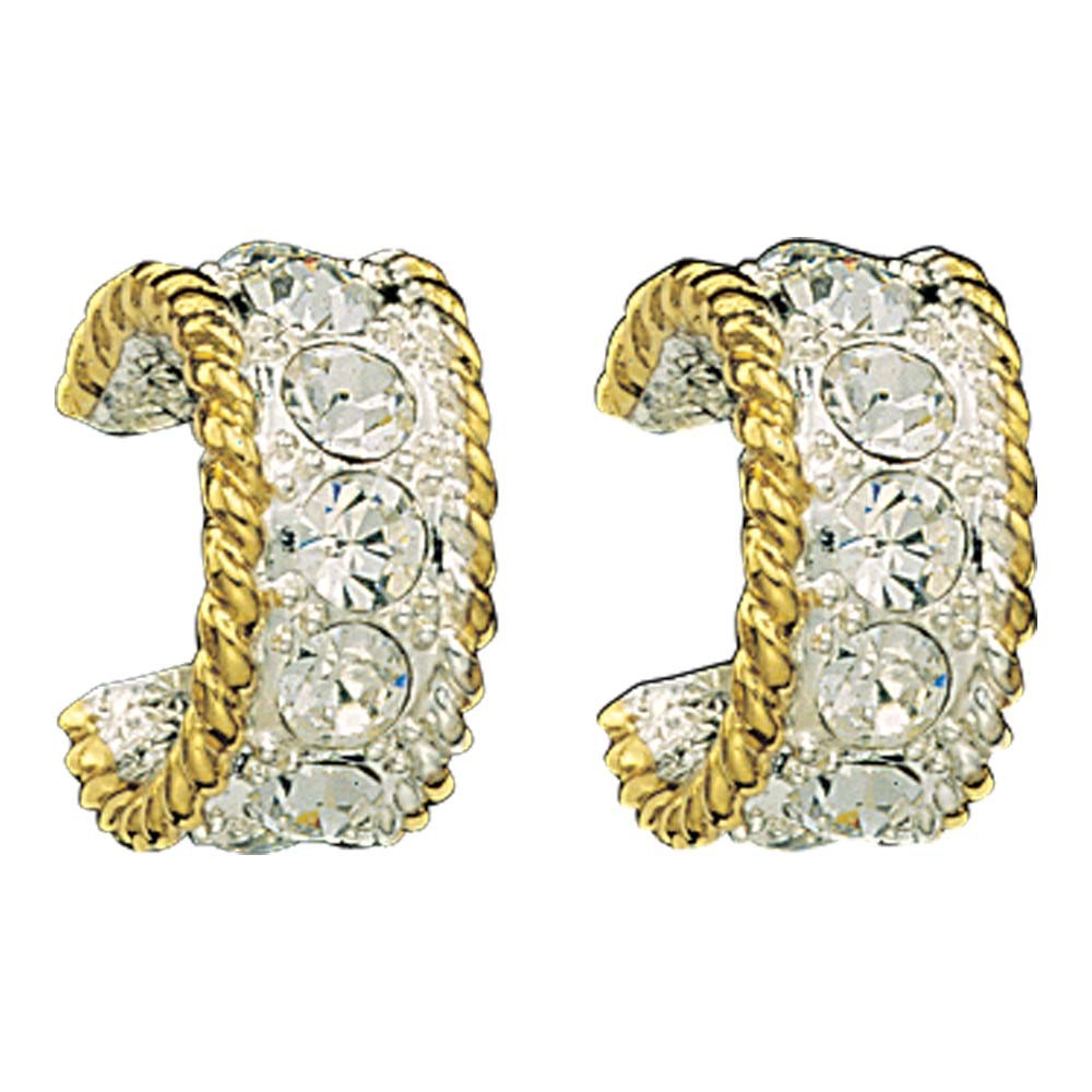 Crystal Shine in Gold Small Hoop Earrings (ER61133)